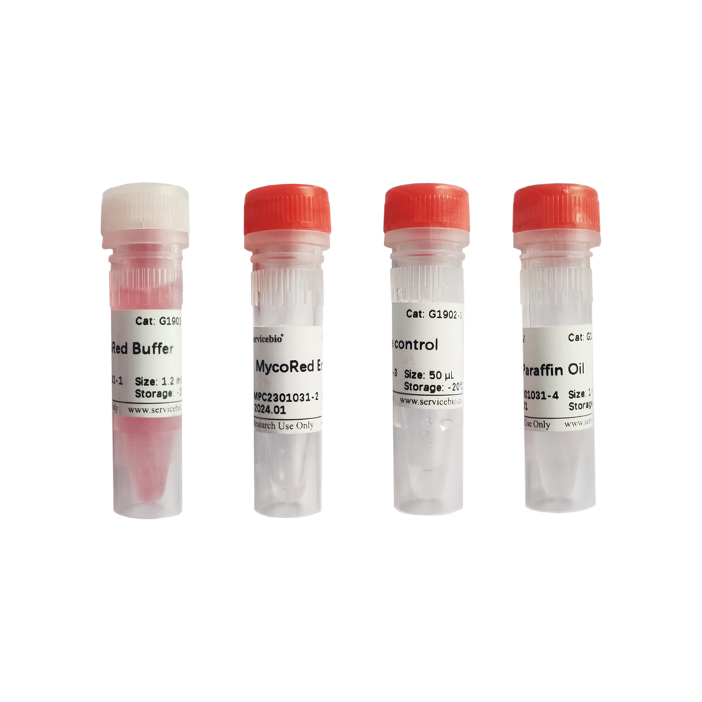 신속마이코플라스마 검출키트(등온증폭법), Mycoplasma Detection Kit(Isothermal ...