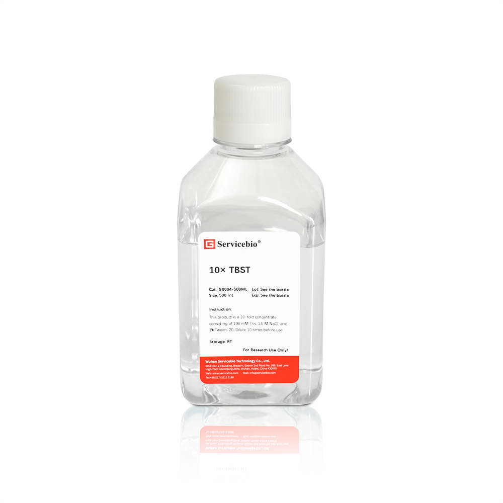 10×TBST 완충액/ 500 mL, G0004-500ML, 10×TBST Buffer / 500 mL, 10×TBST Buffer Solution