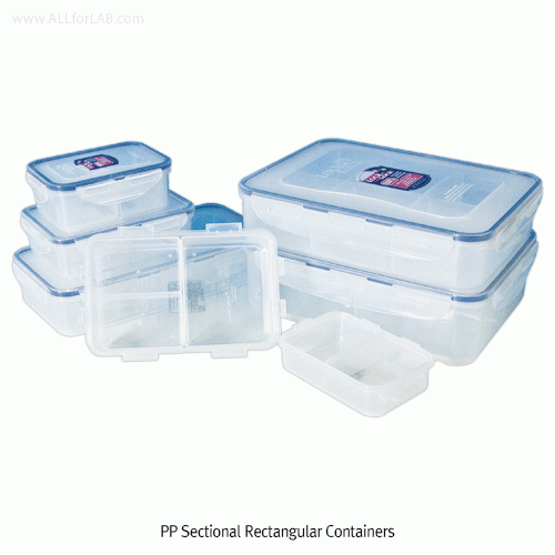 LOCK&LOCK® PP Sectional Rectangular Container,with Safety Locking Lid ...