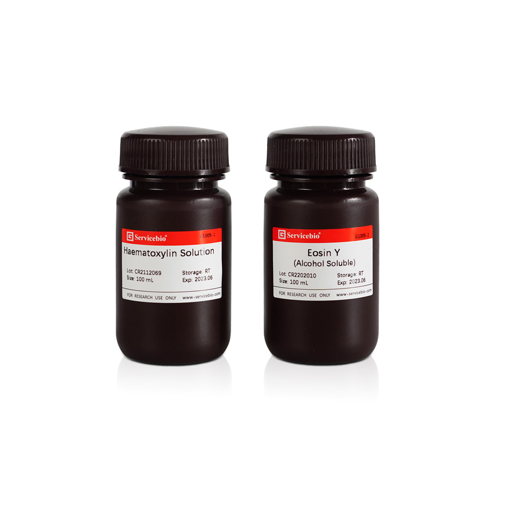 H&E 염색 키트(헤마톡실린 및 에오신), H&E Staining Kit (Hematoxylin and Eosin), G1005-100ML, G1005-500ML