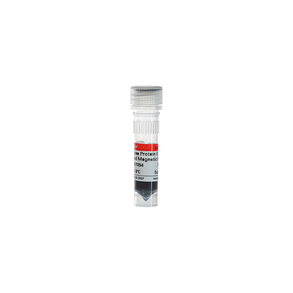 단백질 G 항체 정제 마그네틱 비드, G3657-1ML, SweMagrose Protein G Antibody Purification Magnetic Beads 1mL