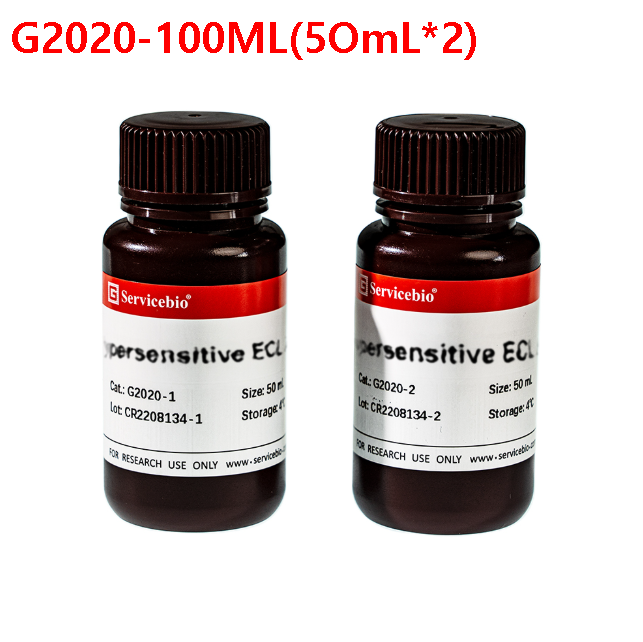2가지사이즈의 초고감도 ECL 화학발광 키트(펨토그램), G2020-100ML, G2020-500ML, Ultra Sensitive ECL Chemiluminescence Kit