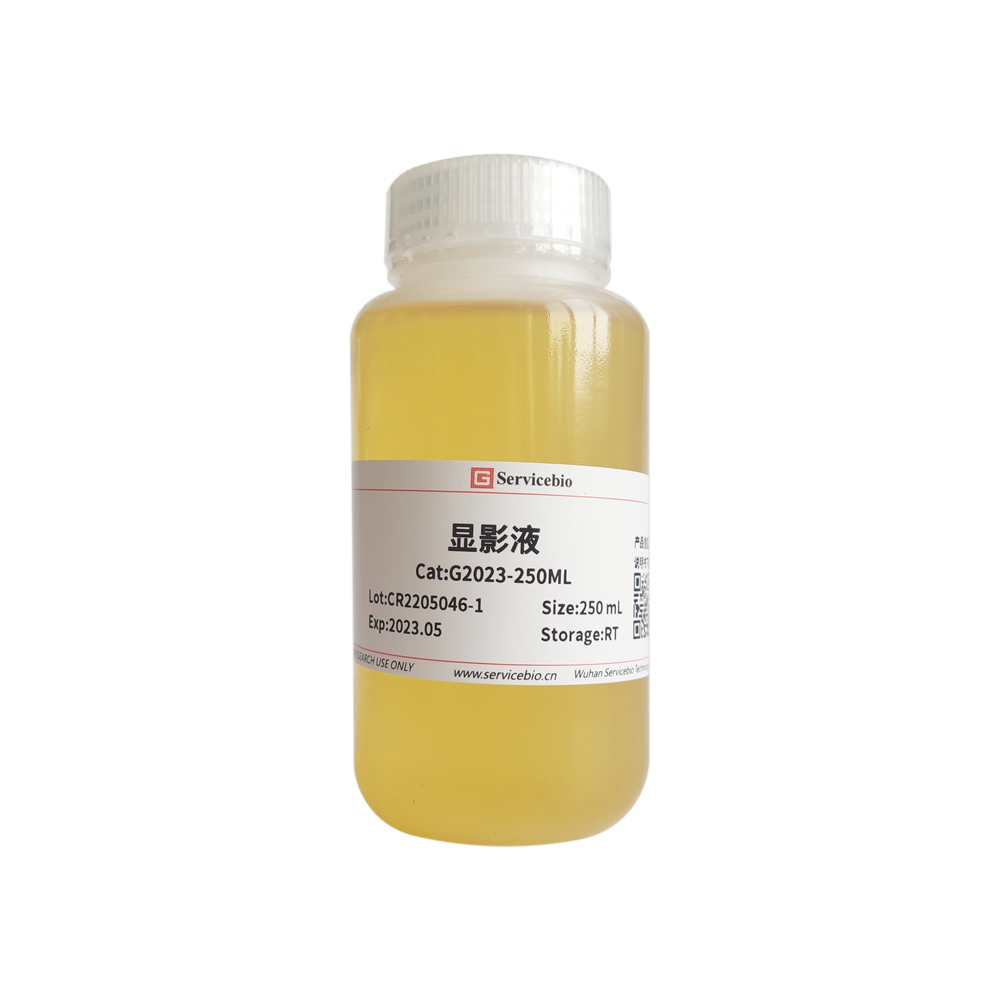 블롯실험 현상액, 발색액, G2023-250ML, Biological Developer Kit for Western Northern Southern Slot Experiment
